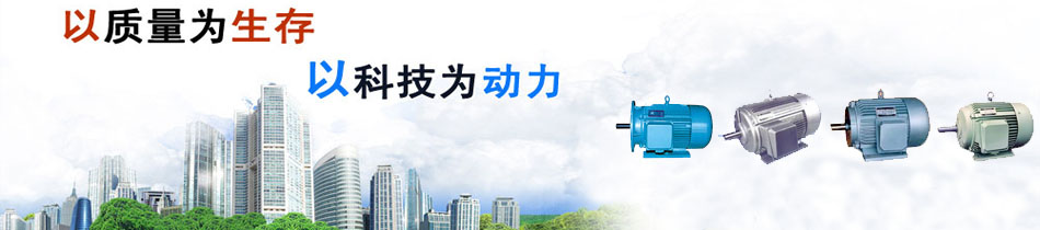 專業制造TYB、FTY系列三相永磁同步電動機